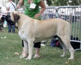 Flush Funky de Whititera